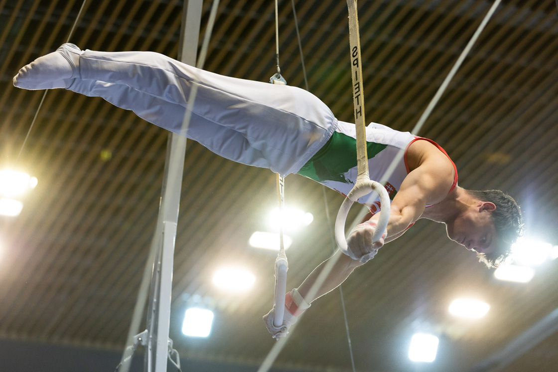 FIG World Challenge Cup